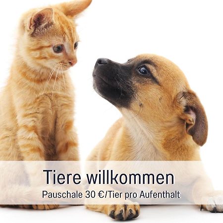 Penthouse - 3 Schlafzimmer- Sonnige Dachterrasse -Whirlpool & Alpenblick - Perfekt Fuer Romantik Oder Familienurlaub Mit Kind, Hund Willkommen - By Ferienwohnenamsee - Uberlingen Exteriér fotografie