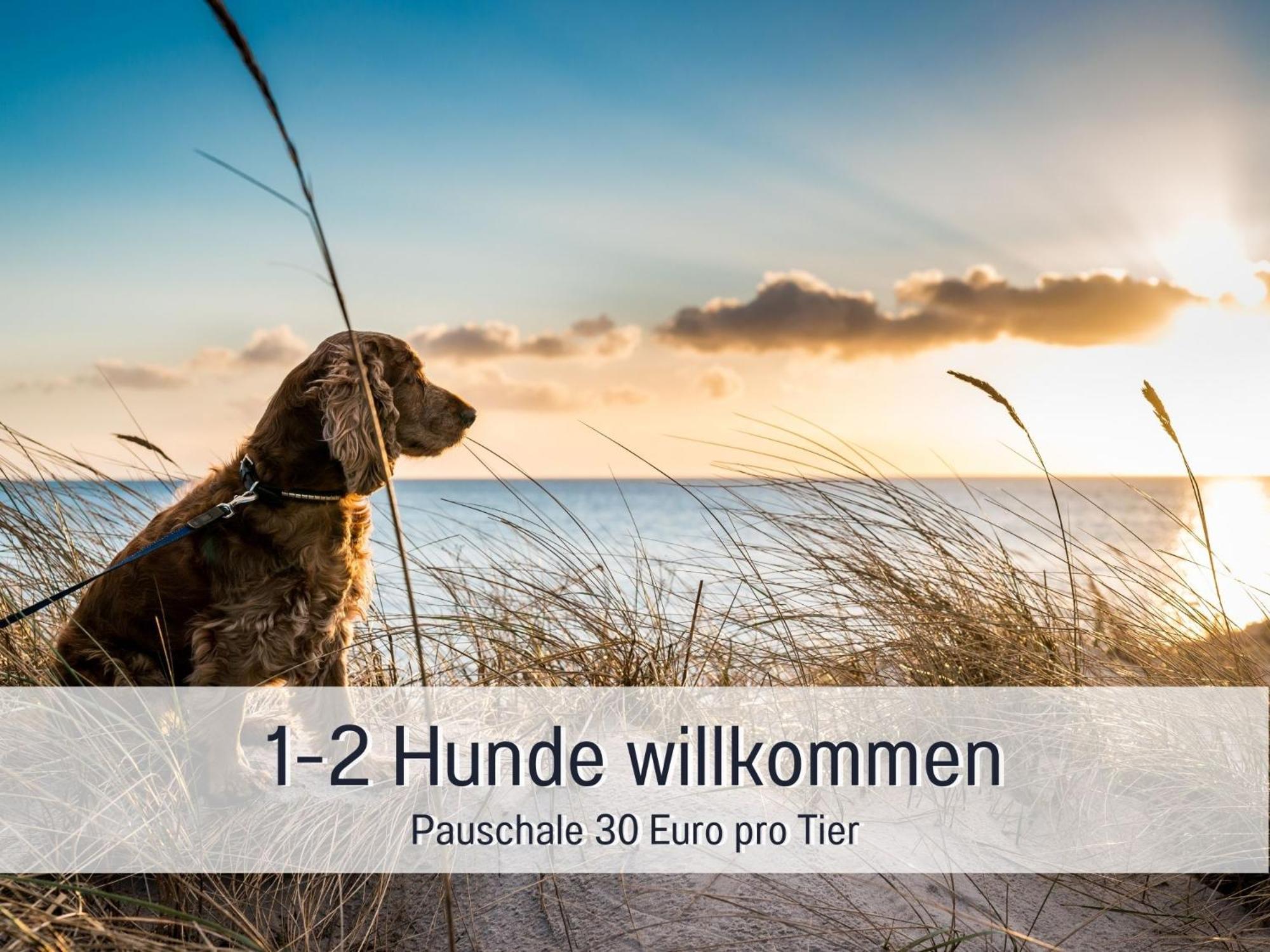 Penthouse - 3 Schlafzimmer- Sonnige Dachterrasse -Whirlpool & Alpenblick - Perfekt Fuer Romantik Oder Familienurlaub Mit Kind, Hund Willkommen - By Ferienwohnenamsee - Uberlingen Exteriér fotografie