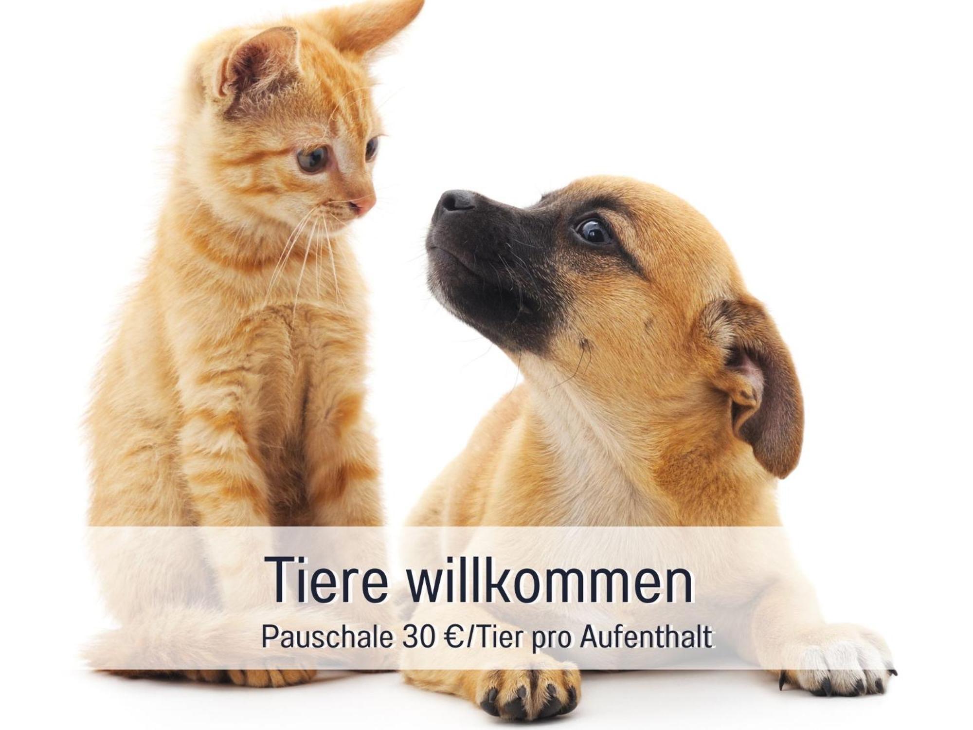 Penthouse - 3 Schlafzimmer- Sonnige Dachterrasse -Whirlpool & Alpenblick - Perfekt Fuer Romantik Oder Familienurlaub Mit Kind, Hund Willkommen - By Ferienwohnenamsee - Uberlingen Exteriér fotografie